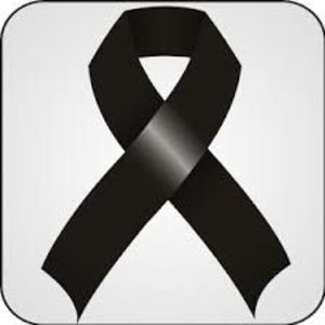 Meet your Posher, Ingrid